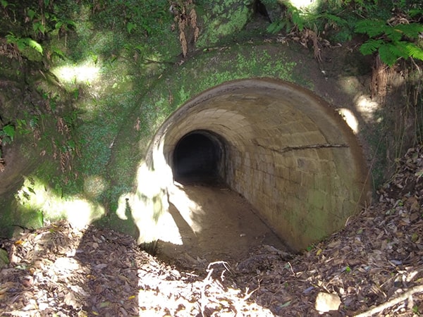 館山　遺跡1